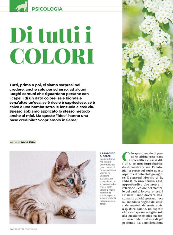 Ga Ma Dic 2021-Gen 2022 (7)