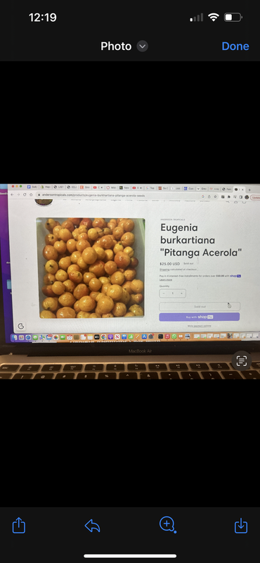 4DD8783D-6365-4F55-A191-C5530729AF06