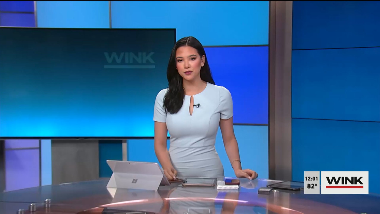 03.22 - 16.00.00 - The WINK Noon News. News..ts_snapshot_08.51.520