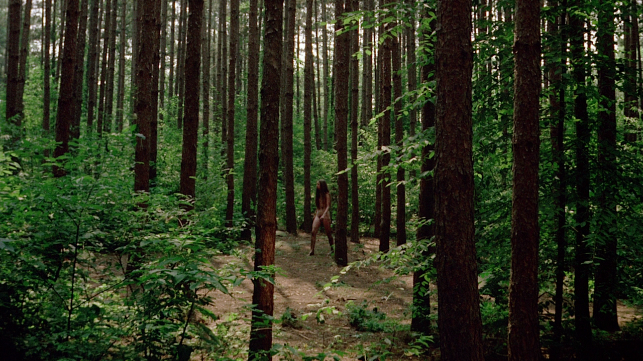 vlcsnap-2022-07-24-12h55m20s041