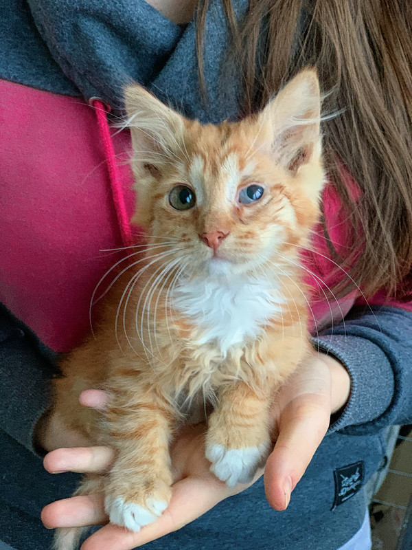 DBC9FC00-F598-4862-BADD-2AE8C6D22583