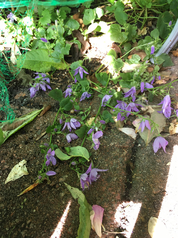 598CFE92-EB8D-43C7-AA58-9D86E4425EDE