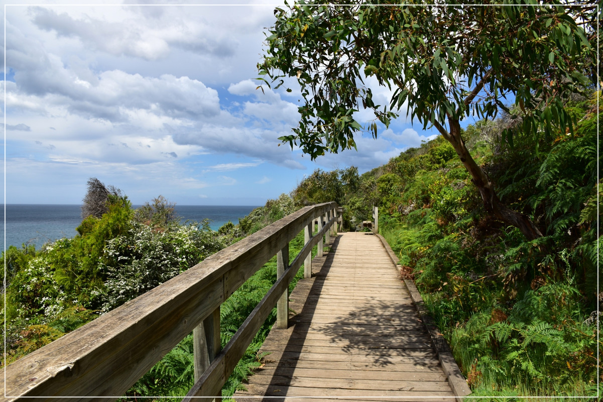 Great Ocean Road - Australia (I): toma de contacto (12)