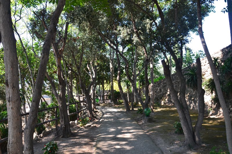 Italia y sus pueblos-2018/2019/2023 - Blogs de Italia - ISLA DE ISCHIA-21-9-2018 (107)