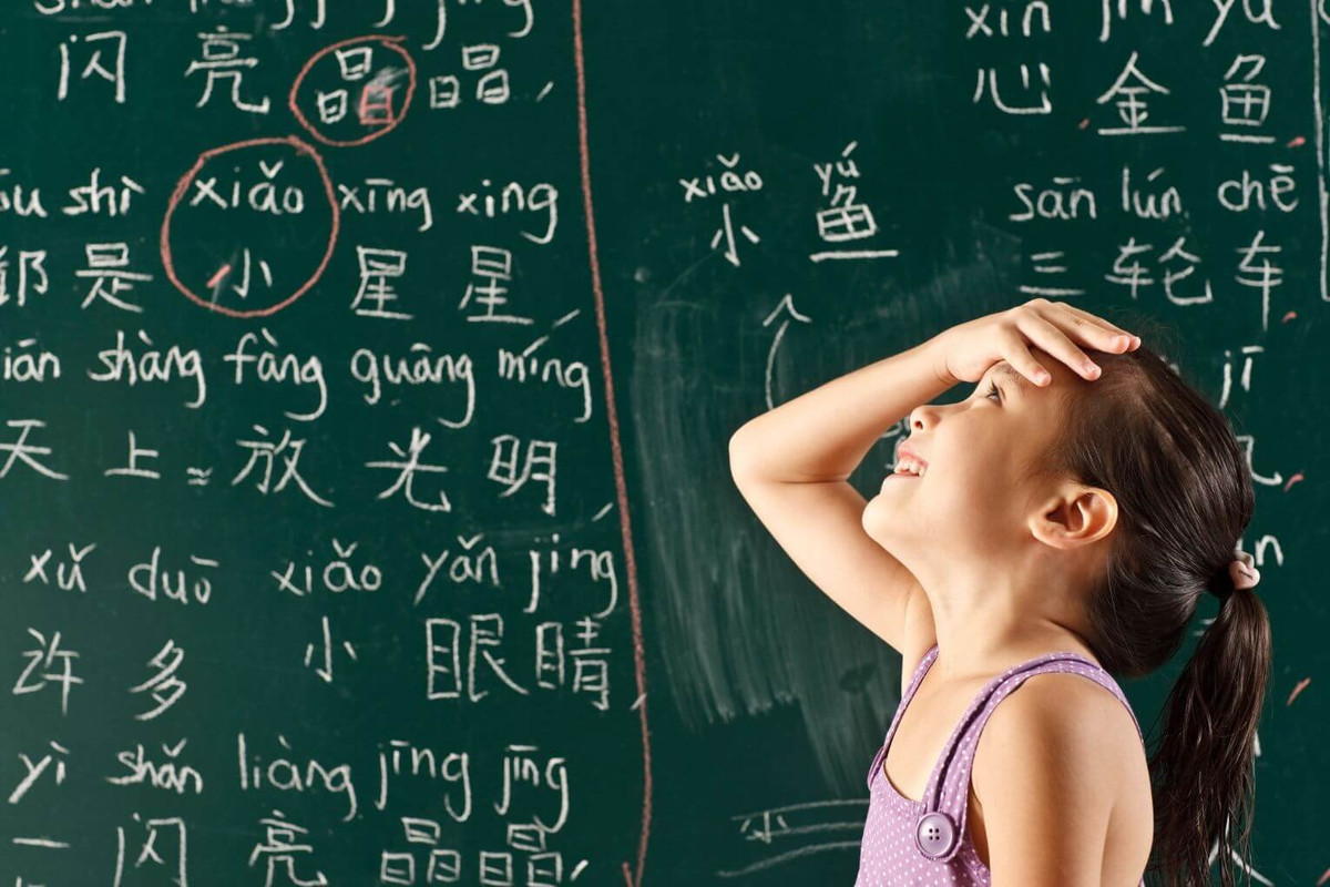 What Causes Errors in Language Learners
