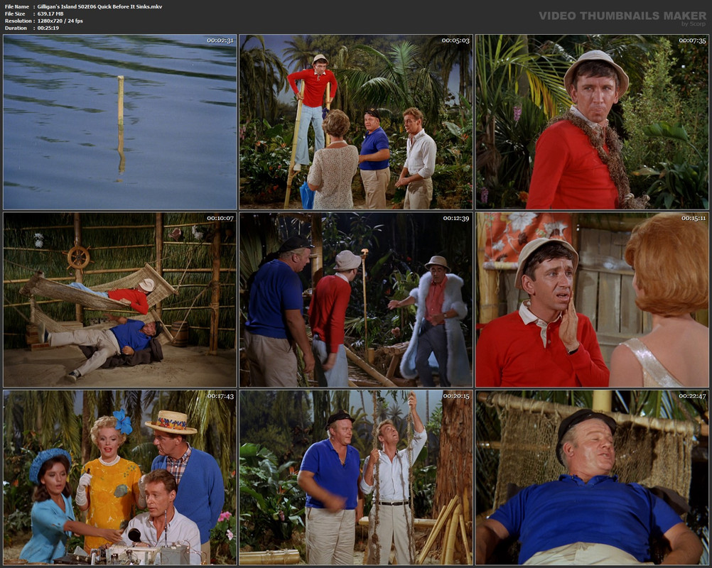 Gilligan's Island S02E06 Quick Before It Sinks.mkv