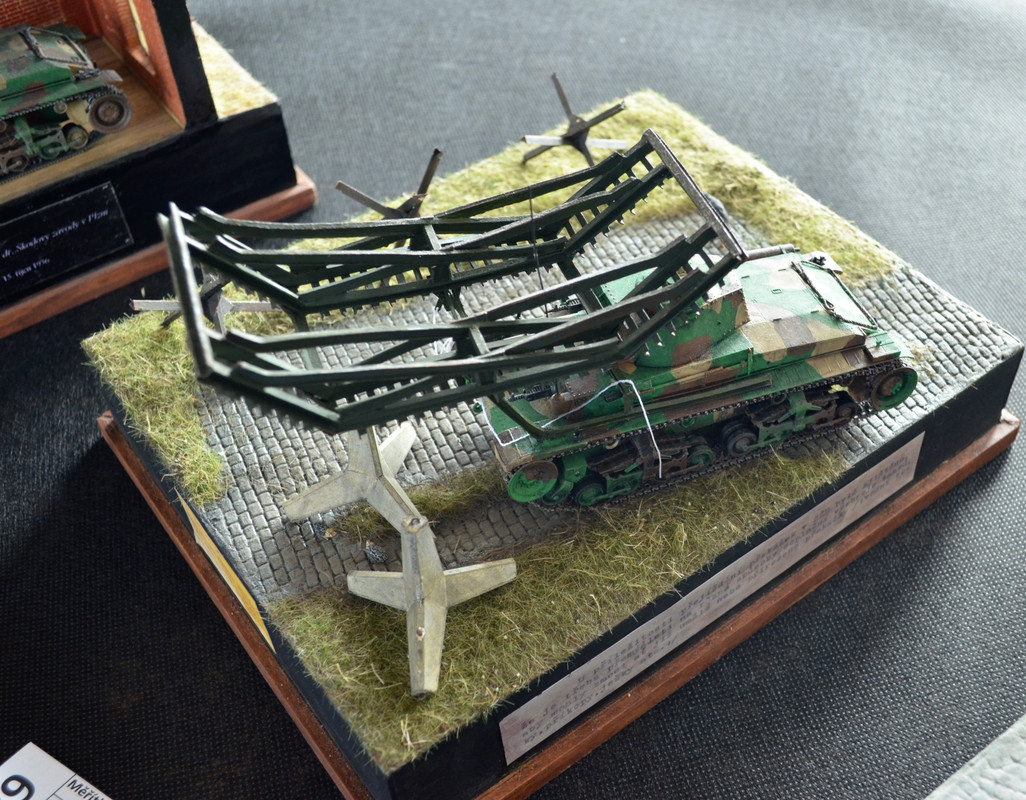 Žamberecký divočák 2019 201