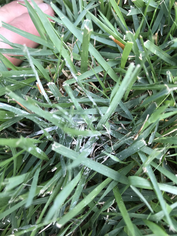 B6A89DFB-1783-4B7C-8D1B-3E3E9942C1E2