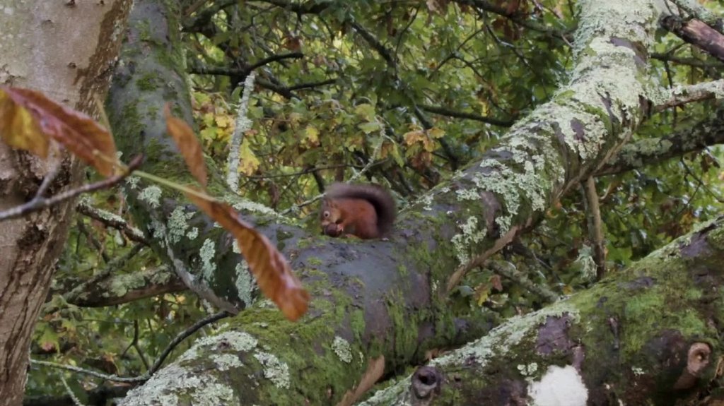 [Image: jzoao323zv0w.jpg]