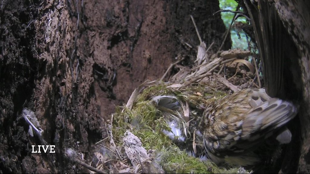 [Image: 79z3sodsh7ys.jpg]