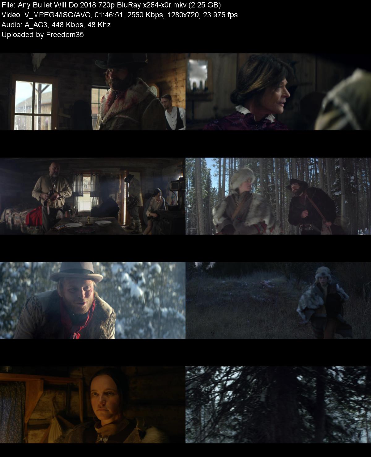 Any-Bullet-Will-Do-2018-720p-Blu-Ray-x26