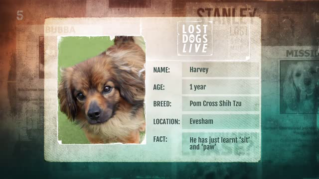 [Image: bip23yj5xwb9.png]