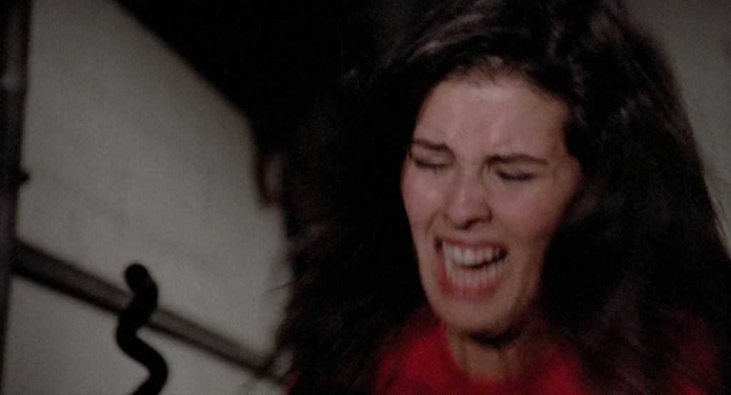 [Image: be6a3ooz7i7n.png]