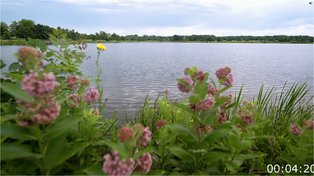 [Image: v4ns6pta3h2v.png]