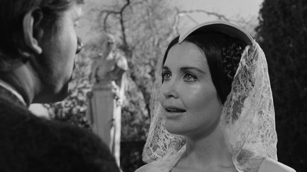 [Image: h34tr5hh8mcw.png]