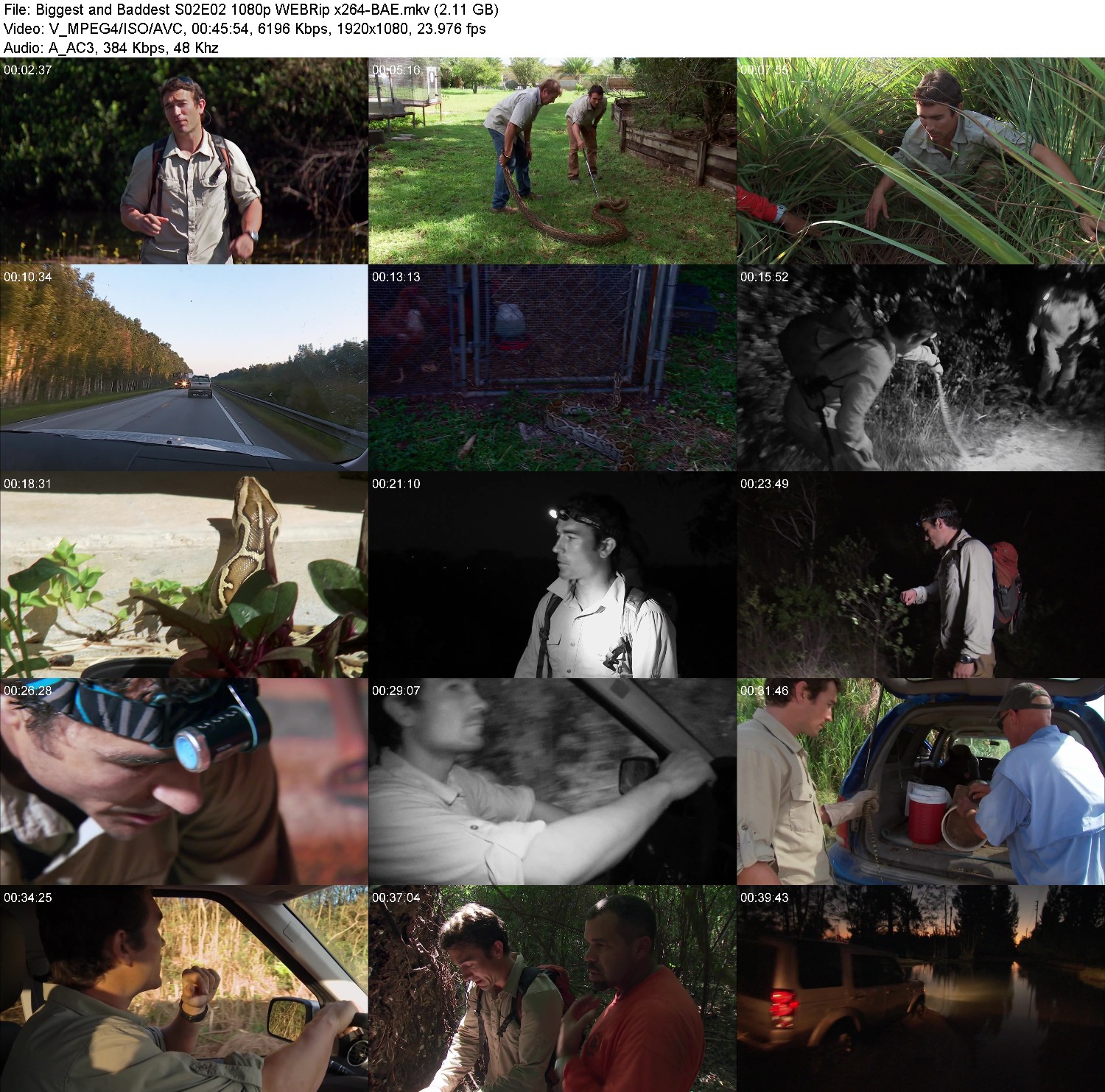 [Image: 0zc96vjcos3k.jpg]