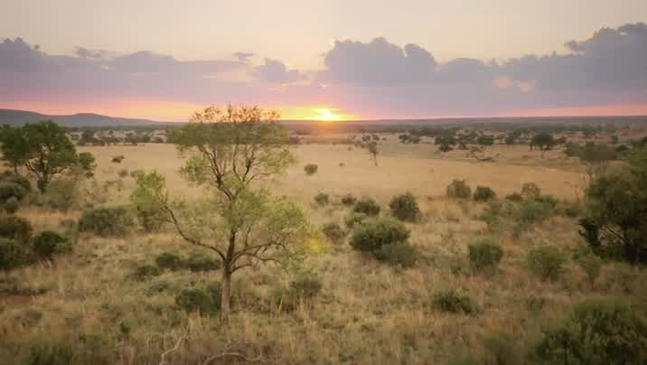 [Image: 707u9pihhsjn.jpg]