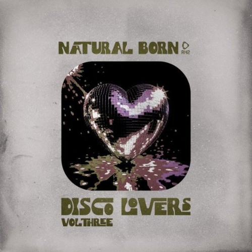 00-va-natural-born-disco-lovers-vol-03-r