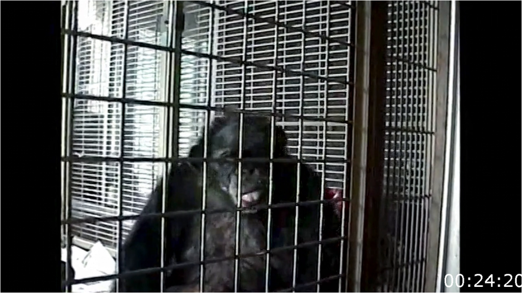 [Image: i9cwlto13q1q.png]