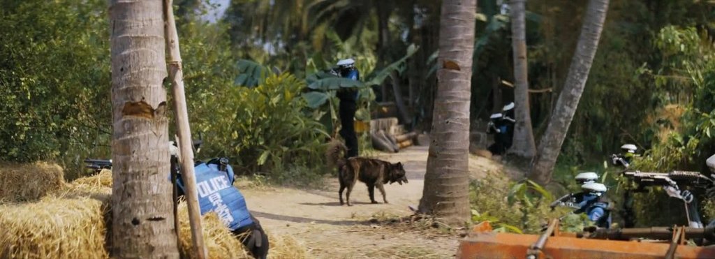 [Image: 3duayh5uco51.jpg]