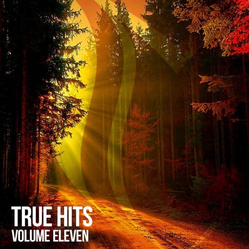 VA - True Hits, Vol. 11 (Extended Mixes) (2026)