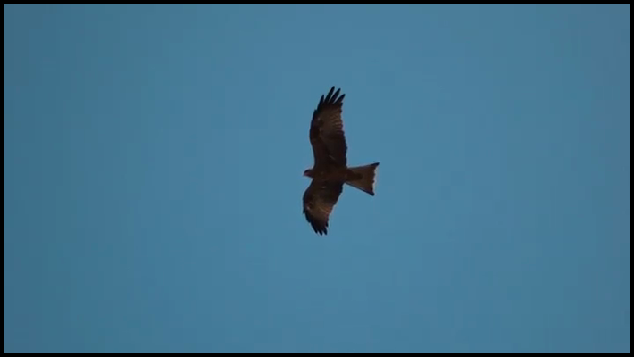 [Image: hlox2hkm723h.png]