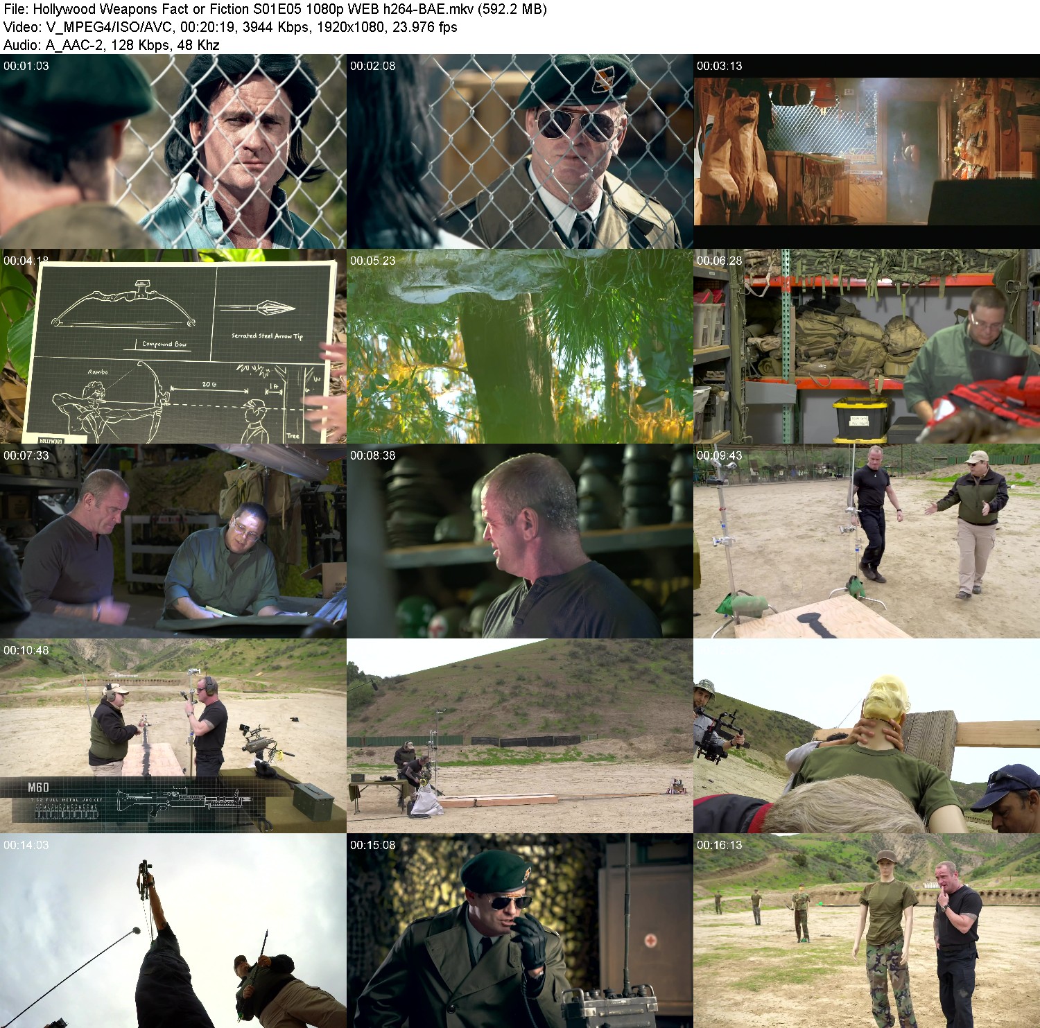 [Image: g9vvir136nzt.jpg]