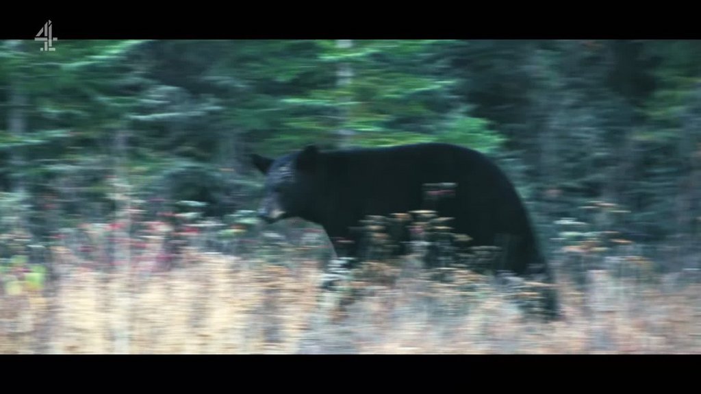 [Image: k674vjdty2rx.jpg]