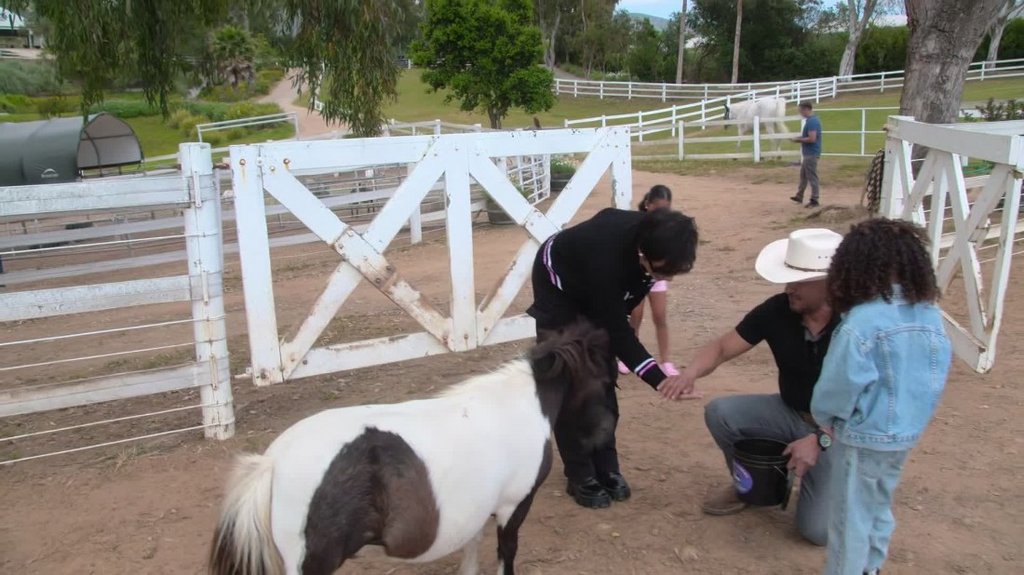 [Image: 2mlm5a1ga1qb.jpg]