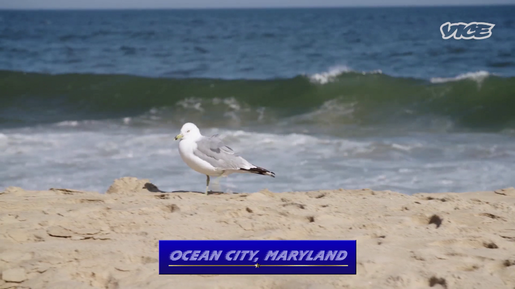 [Image: 7g101bqbncof.png]