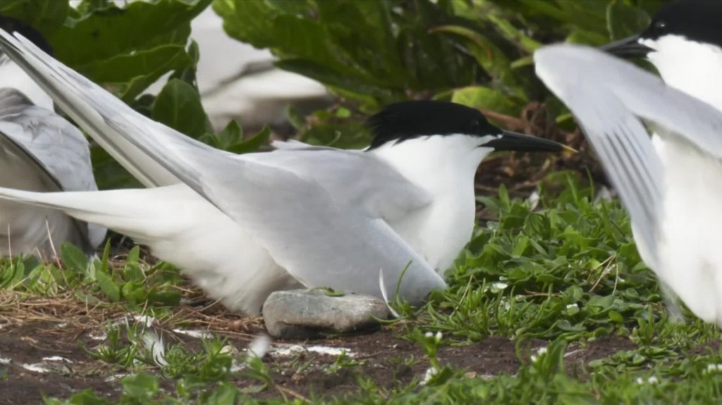 [Image: 2l0kegmw9i0d.jpg]