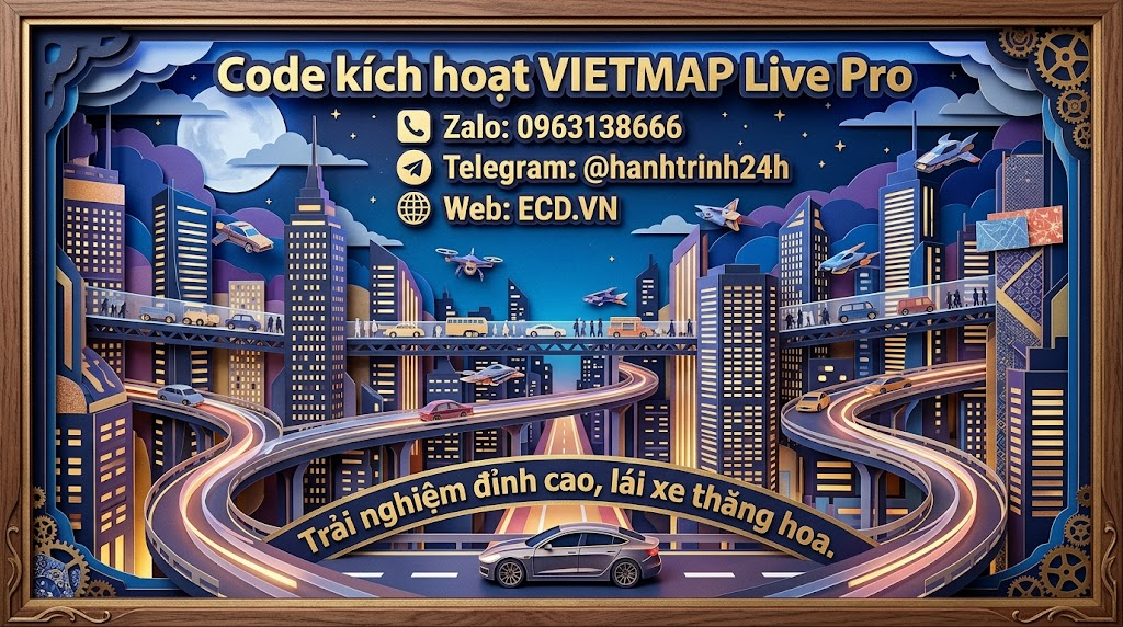 vietmap pro new driver