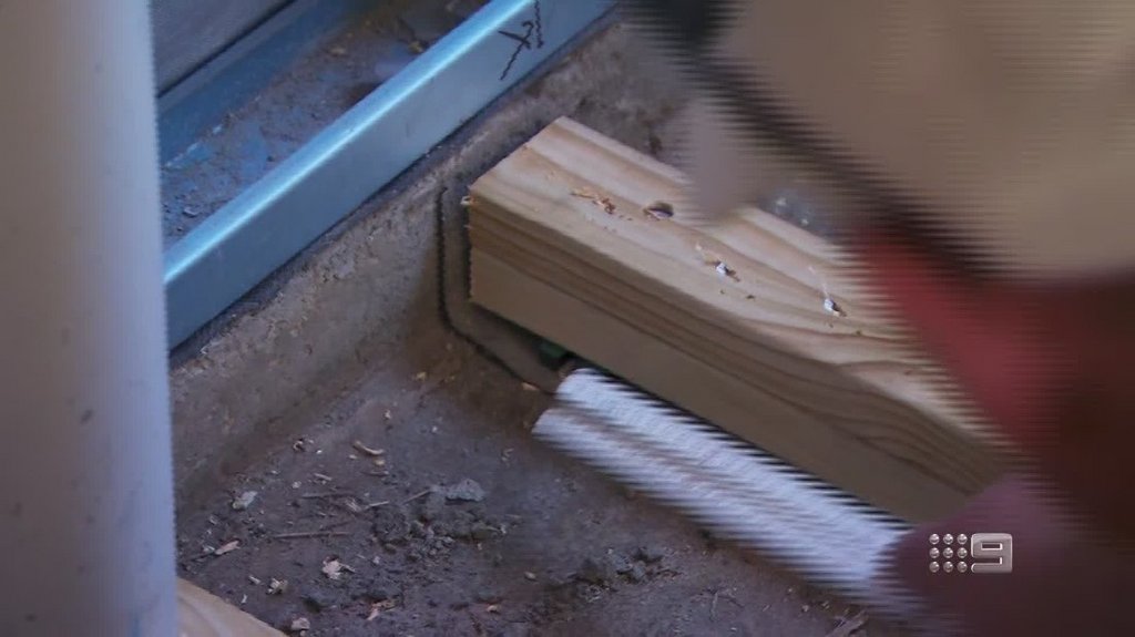 [Image: 72n3amnv0smj.jpg]