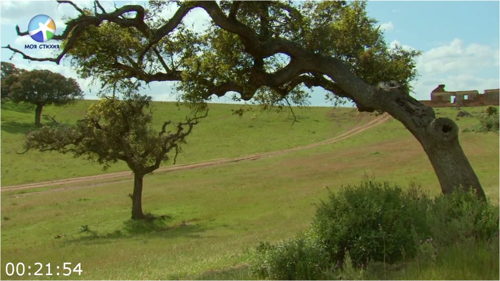 [Image: v4tuk5wqg2l1.png]