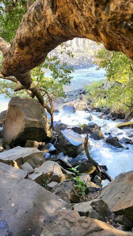Африканские каникулы - зверики Крюгера, пески Намибии, воды Виктории