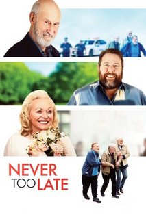 Never-Too-Late-2020-HDRip-Xvi-D-AC3-EVO.