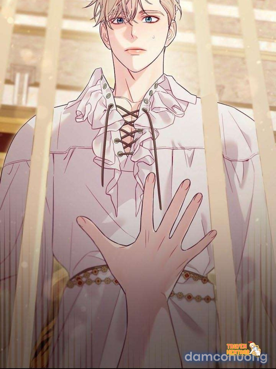 Xem ảnh [18+] Lồng Chim Của Người Sưu Tầm - Chapter 9 - tmp5d7unvwa - Truyenhentaiz.net