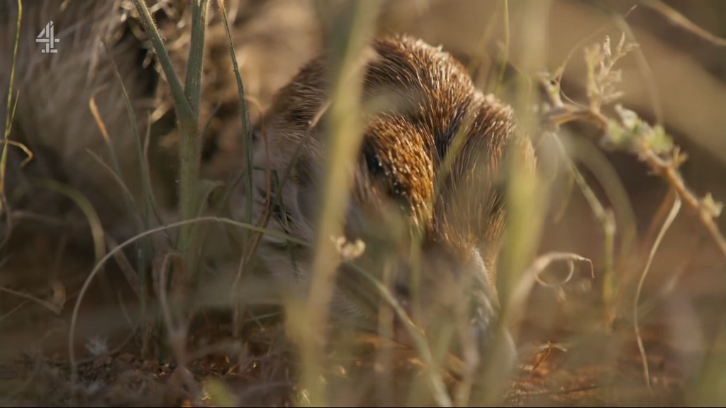 [Image: y714qm5qzklz.png]