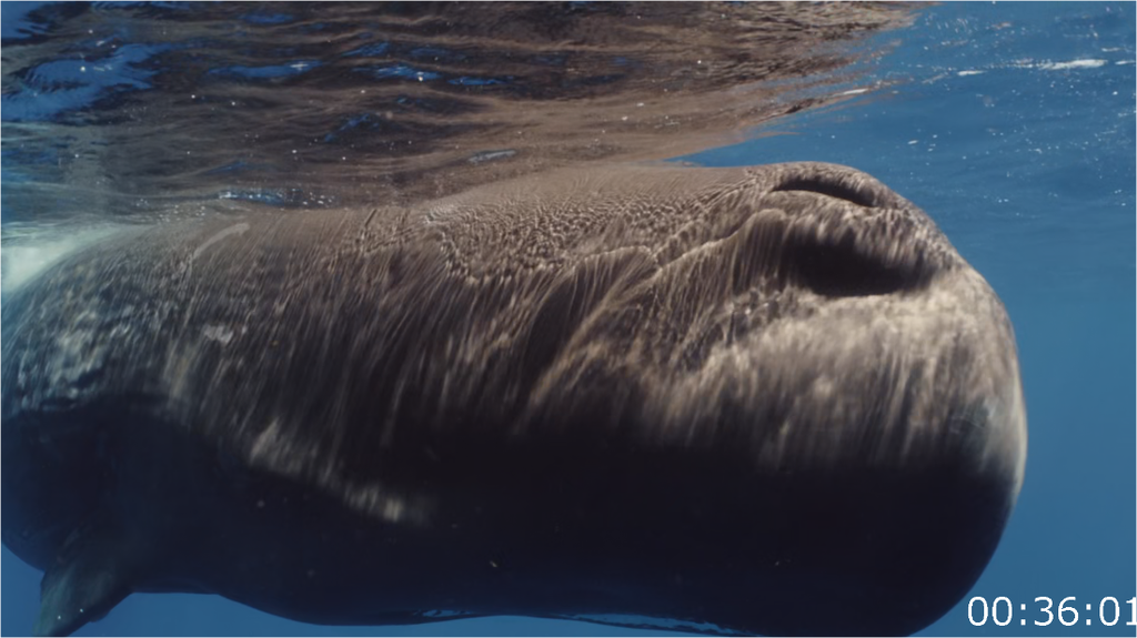 [Image: 32axjk2b9eff.png]