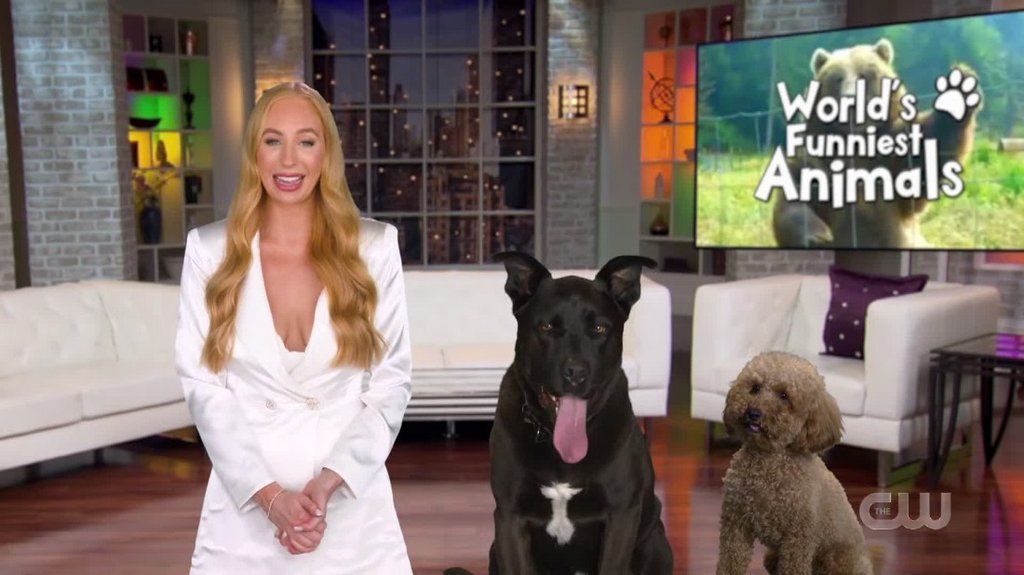 [Image: 0k7qgmrgz4s2.jpg]