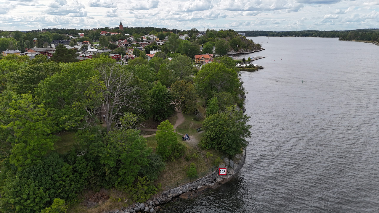 Трое в Амстердаме, не считая собаки. Переезд в Нидерланды.