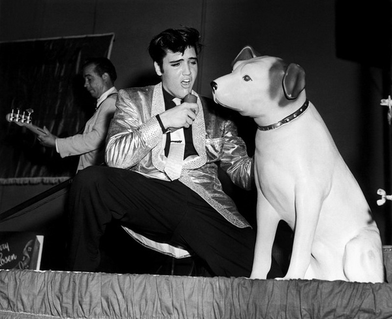 La prima grande canzone di protesta di Elvis
