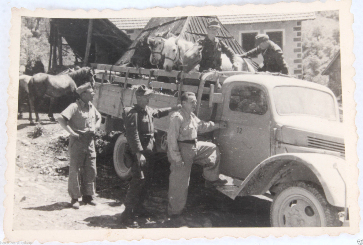 WK2 Foto Fallschirmjäger   Gebirgsjäger Elite Sü