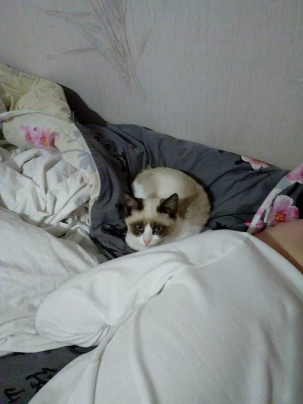 IMG_20181007_035148_1CS