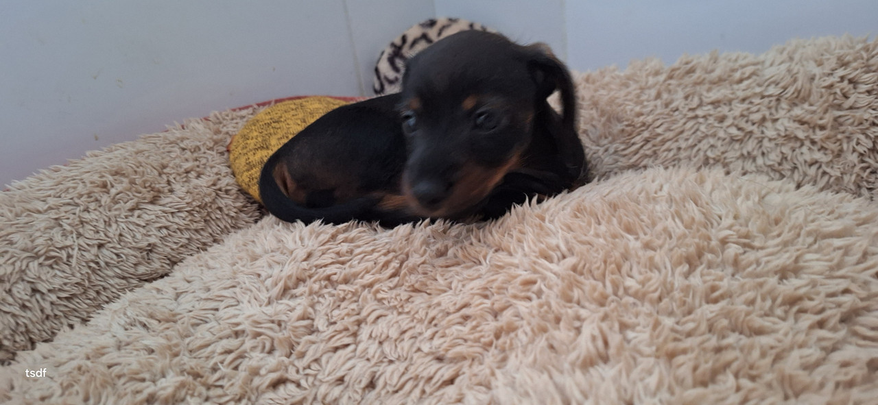 [Image: 20250605-105422.jpg]