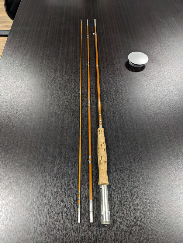 PXL_20240119_224609946