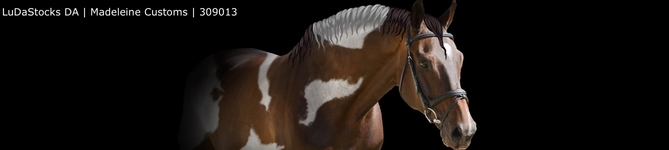 AA183220-3307-4FF5-A849-0A16CF62D84C