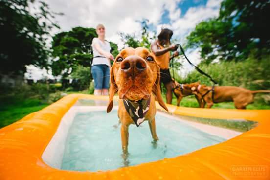 FB_IMG_1499782765027