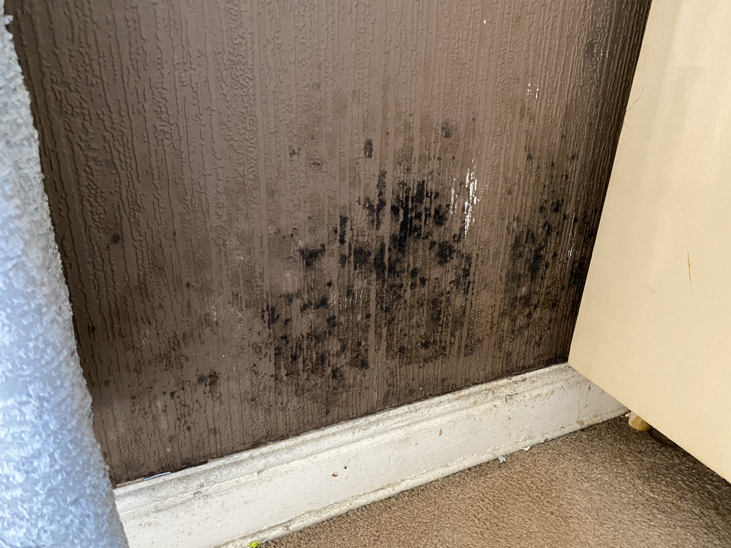 6F1E1F79-2602-4F7B-8429-916A322AFEED