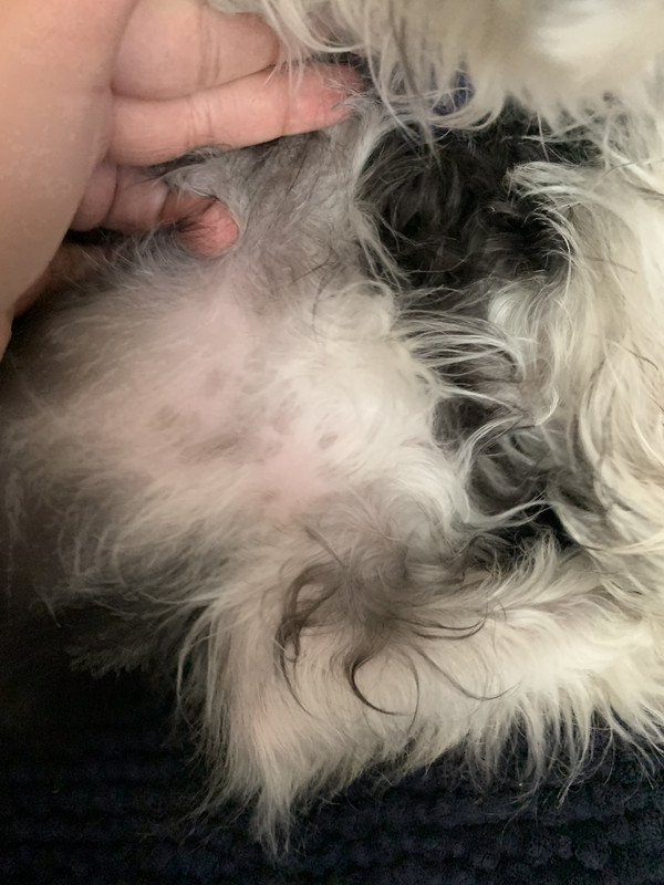 648CD446-D9CD-453F-B39B-DE04F961F9AB